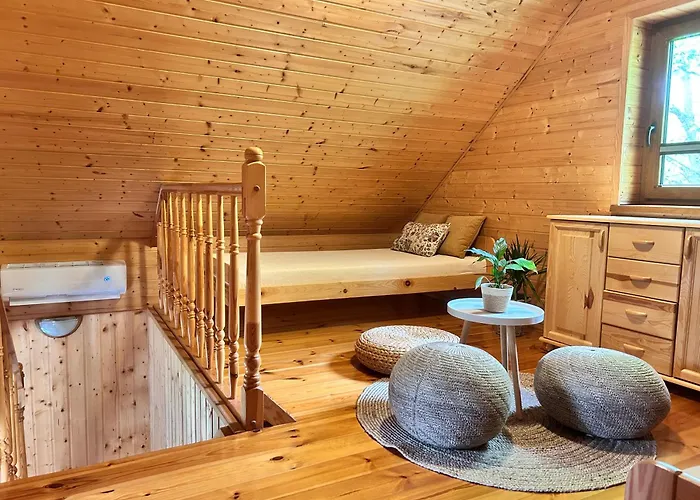 Kameleon * Dzwirzyno